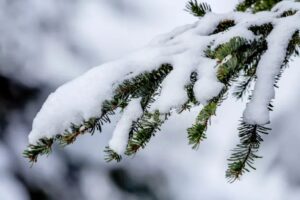Trenutna prognoza vremena nije baš onakva kakvu priželjkujemo